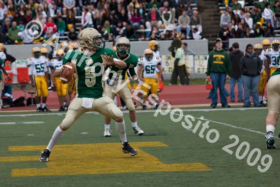 09 Greenbowl 198