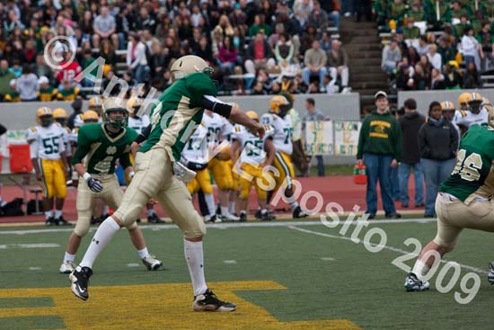 09 Greenbowl 200