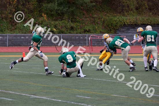 09 Greenbowl 212