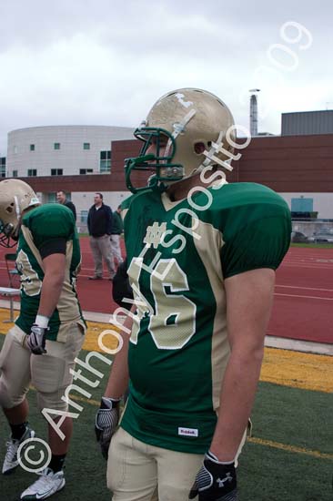 09 Greenbowl 220