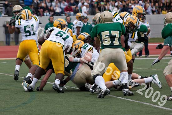 09 Greenbowl 233