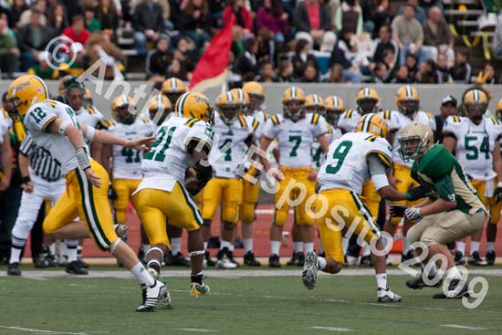 09 Greenbowl 238