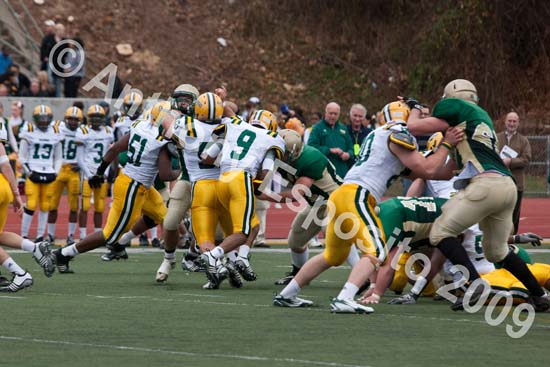 09 Greenbowl 245