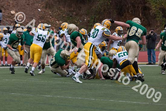 09 Greenbowl 247