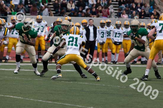 09 Greenbowl 255
