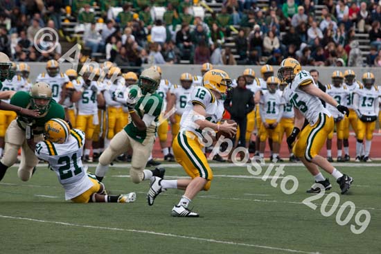 09 Greenbowl 257