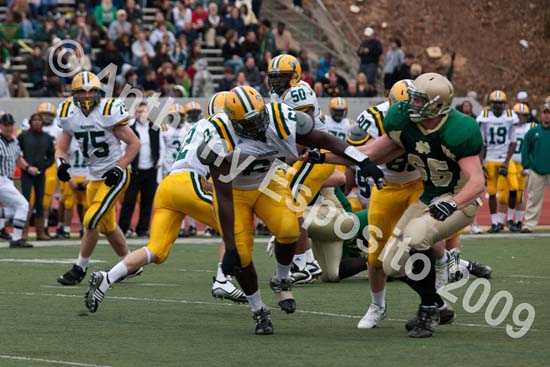 09 Greenbowl 258