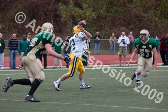 09 Greenbowl 260