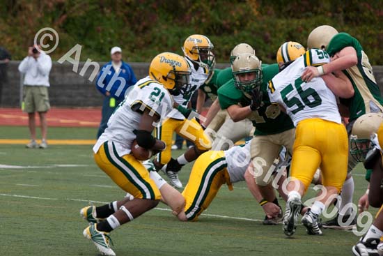 09 Greenbowl 267