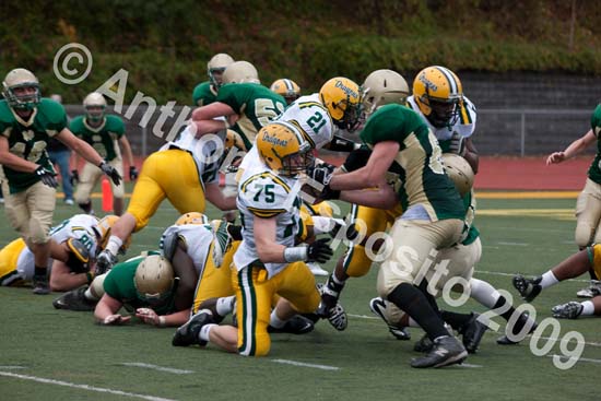 09 Greenbowl 268