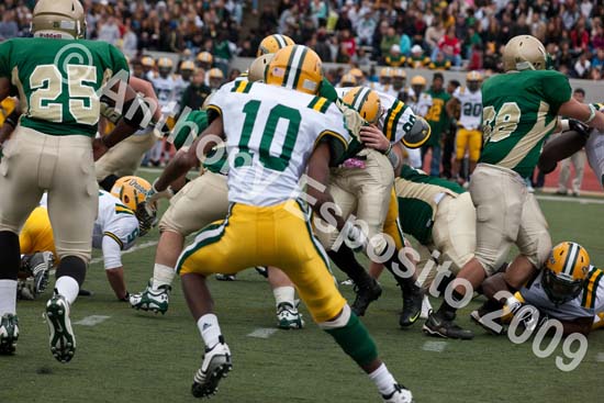 09 Greenbowl 303