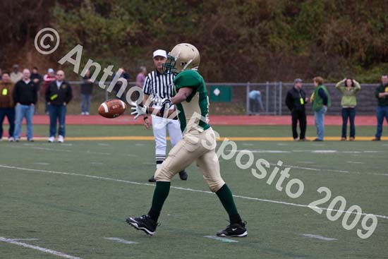 09 Greenbowl 314