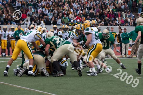 09 Greenbowl 330