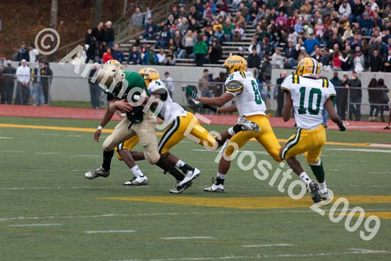 09 Greenbowl 351