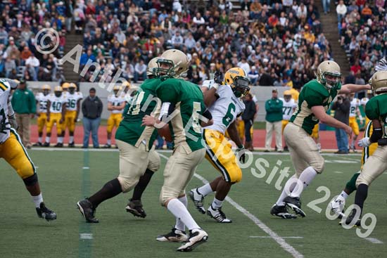 09 Greenbowl 366