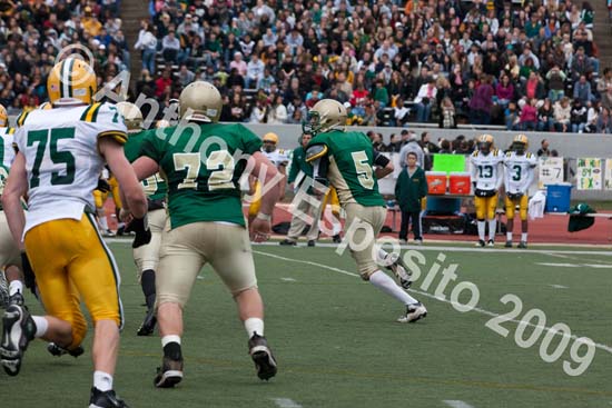 09 Greenbowl 372