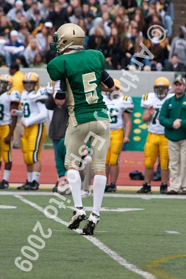 09 Greenbowl 378