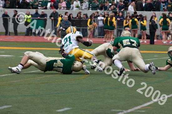 09 Greenbowl 391