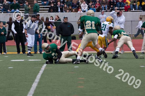 09 Greenbowl 480