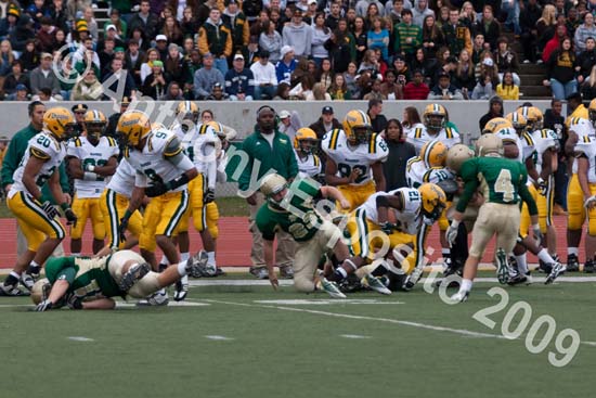 09 Greenbowl 482