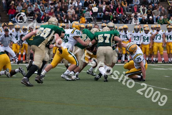09 Greenbowl 487