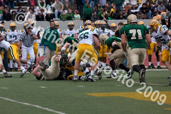 09 Greenbowl 497
