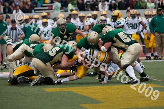 09 Greenbowl 505