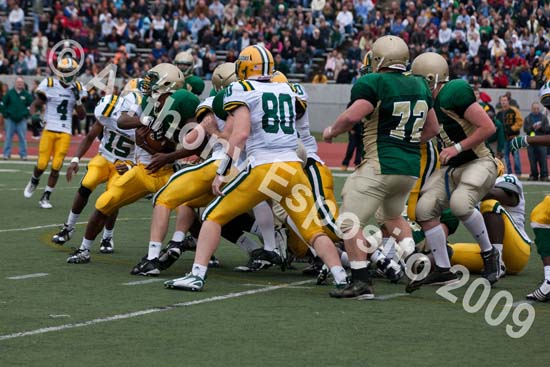 09 Greenbowl 511