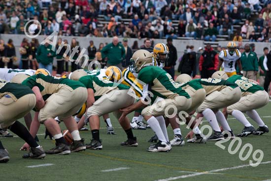 09 Greenbowl 512