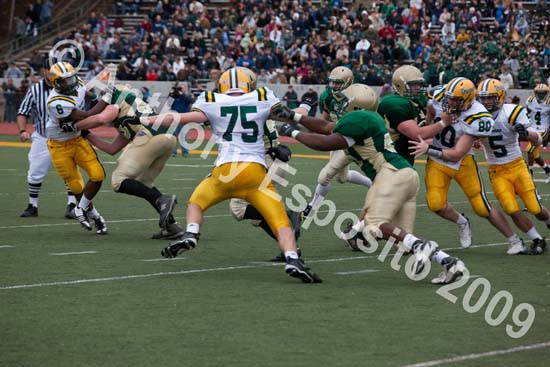 09 Greenbowl 515