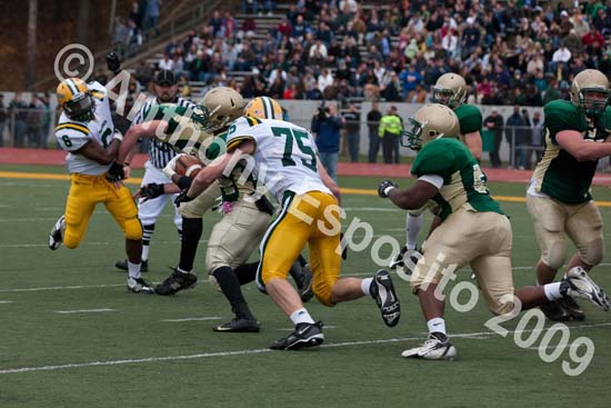 09 Greenbowl 516