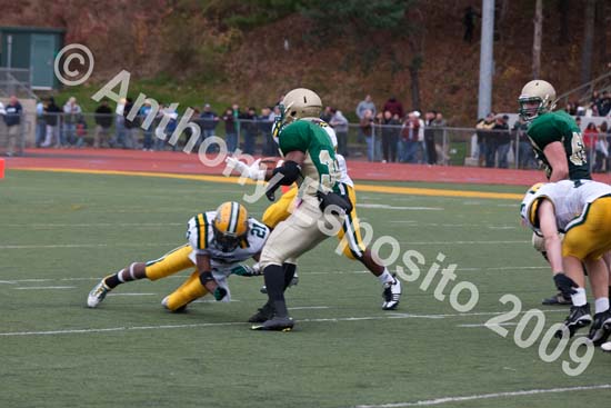 09 Greenbowl 517
