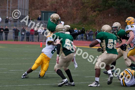 09 Greenbowl 519