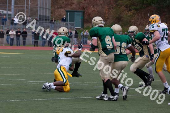 09 Greenbowl 520