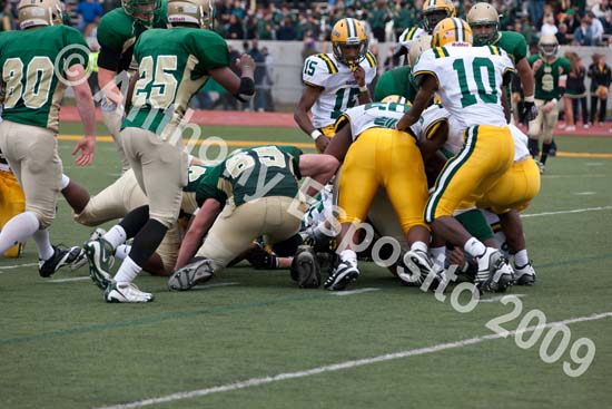 09 Greenbowl 522