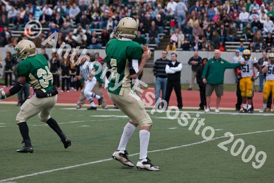 09 Greenbowl 523