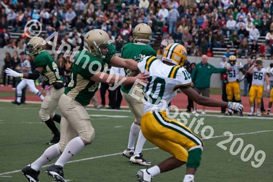 09 Greenbowl 525