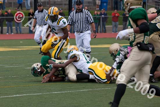 09 Greenbowl 528