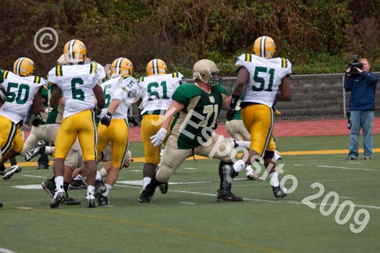 09 Greenbowl 530