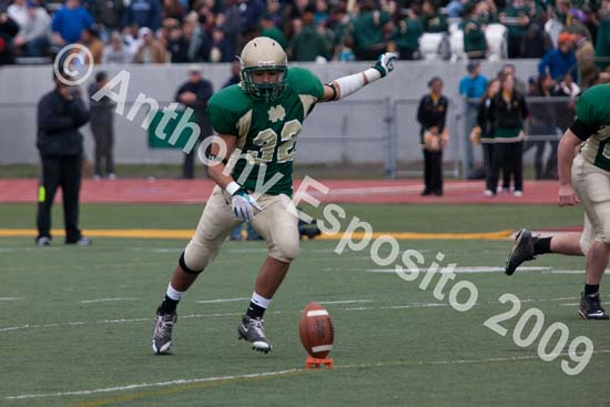 09 Greenbowl 542