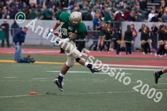 09 Greenbowl 544