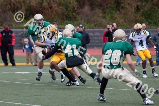 09 Greenbowl 547