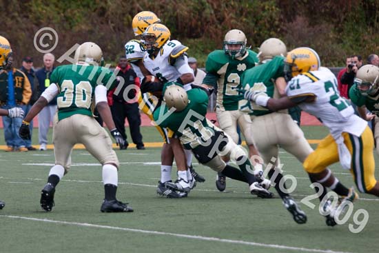 09 Greenbowl 549