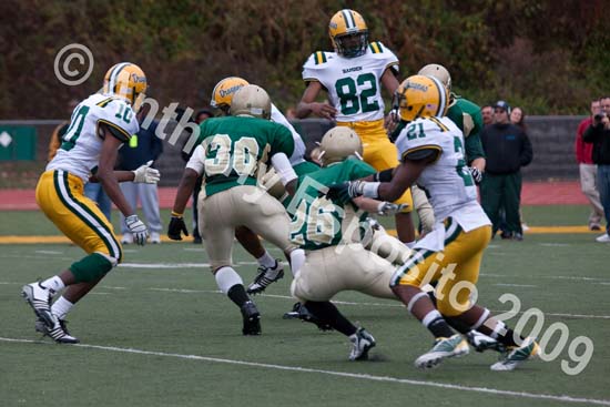 09 Greenbowl 550