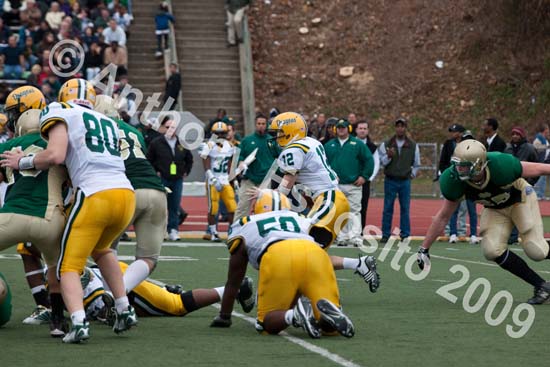 09 Greenbowl 552