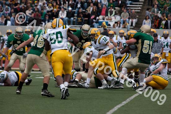 09 Greenbowl 555