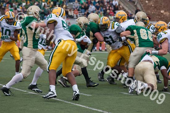 09 Greenbowl 562