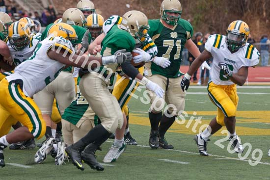 09 Greenbowl 564