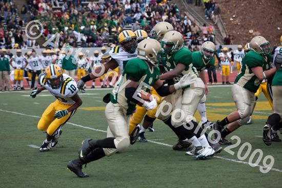 09 Greenbowl 569