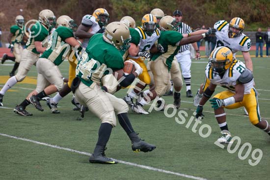 09 Greenbowl 571